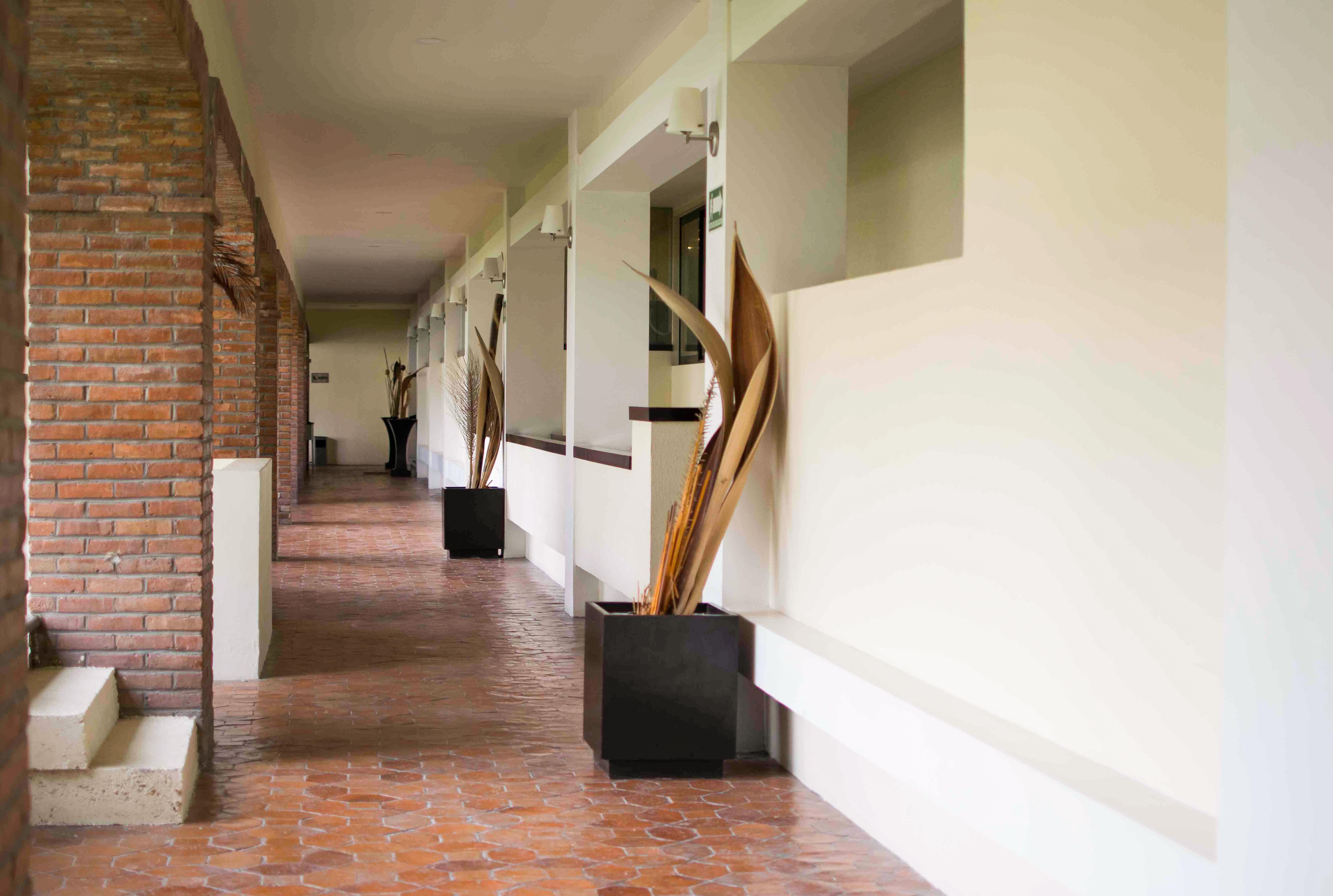 Wyndham Garden Aguascalientes Hotel & Casino Kültér fotó